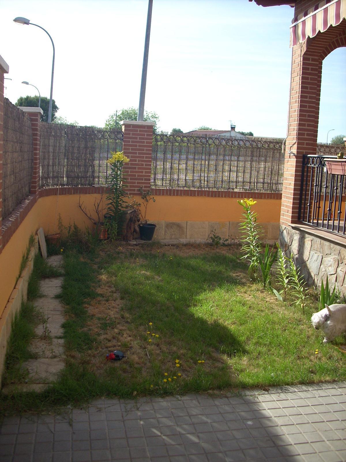 Pareado