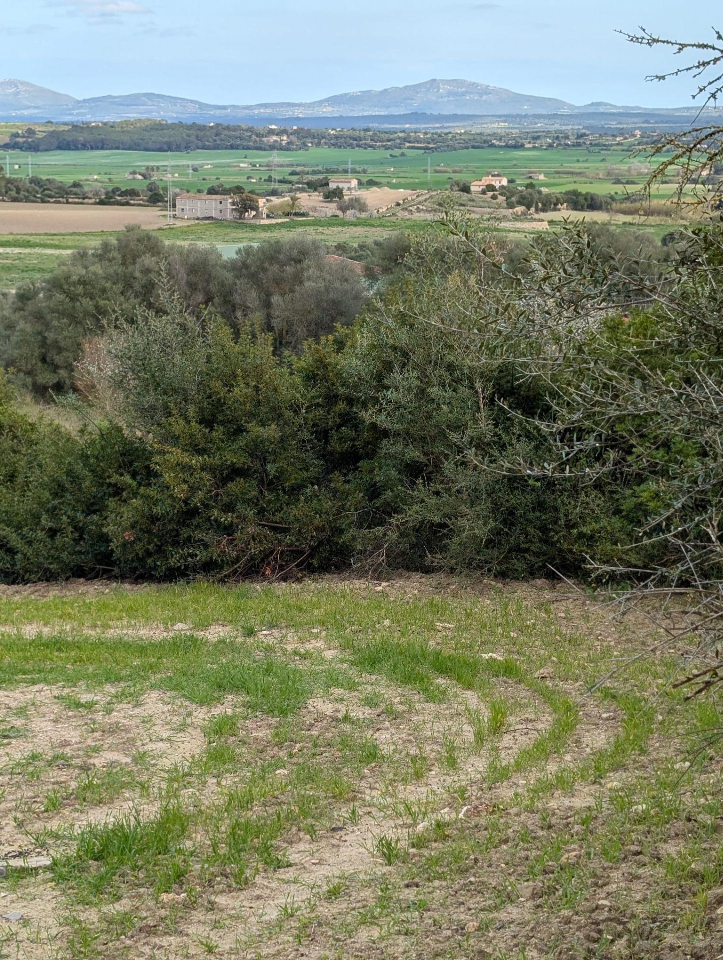 Terreno rural